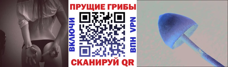 Псилоцибиновые грибы мицелий купить наркотик Вязники